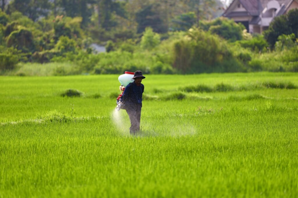 Which fertilizer is best for hydroponics?