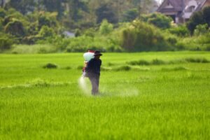 Hydroponic nutrients and fertilizers arranged beside a thriving hydroponic garden.