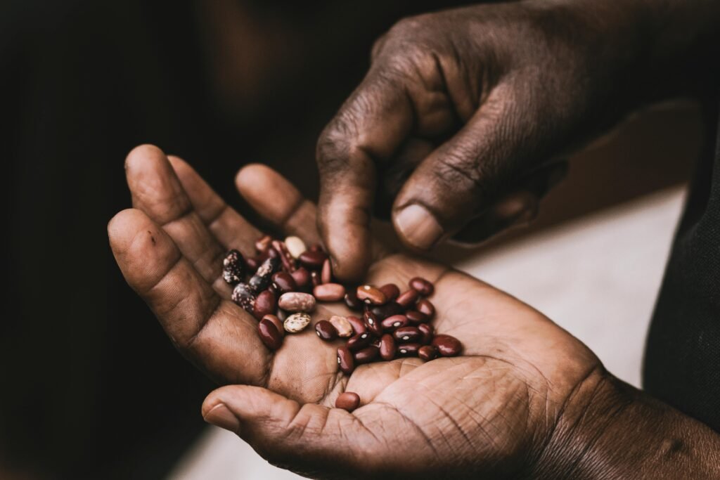 How to Choose the Right Seeds for Your Hydroponic Garden